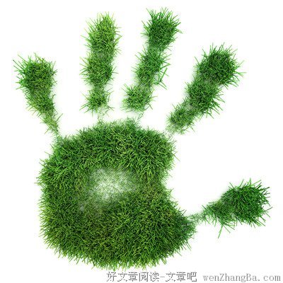 小草