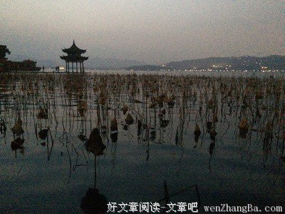 语无伦次的对你说
