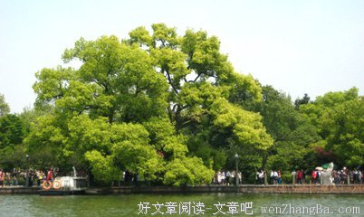 《今天的你我他》