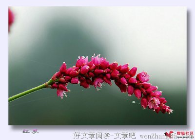 走过，清秋