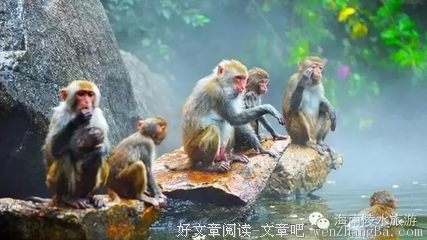 是你打开
