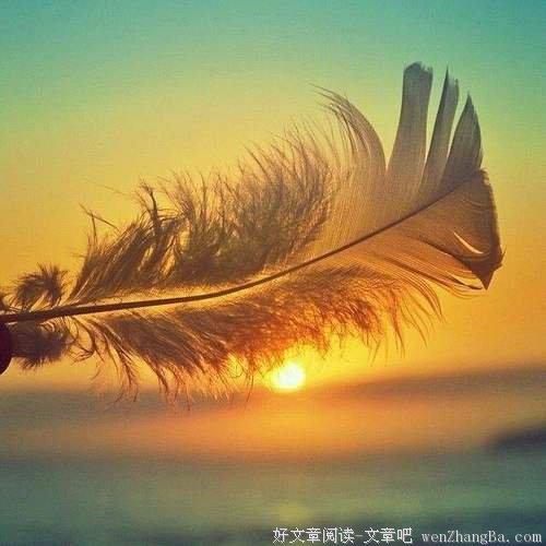 什么是幸福，这是我听过最美的回答