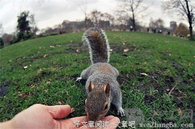 最经典的《尼基塔》经典句子
