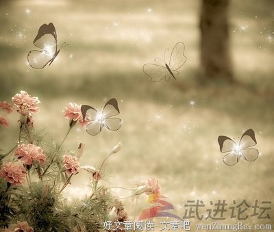 最全的《聊将锦瑟记流年》经典语录