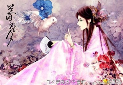 倾泠月名言大全