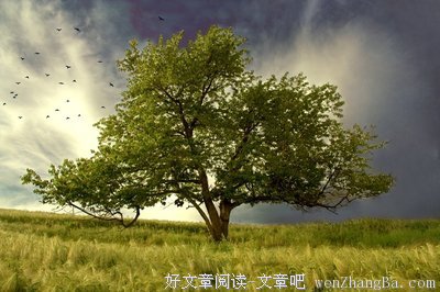 爱你在心口难开