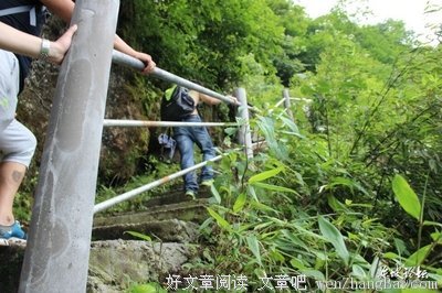 痛苦缘于偶遇