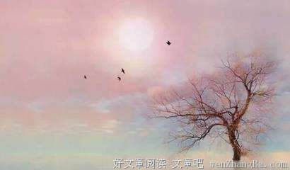 梦想是条不归路