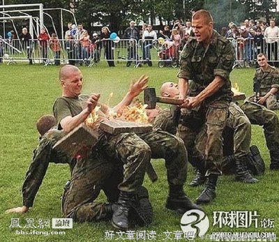 最全的《犬夜叉人物的秘密》佳句摘抄