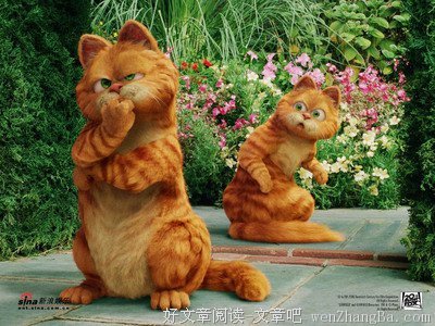 2017猫语猫寻经典句子