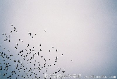有关迷途知返的美句摘抄