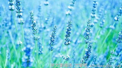 10条关于难言之隐的经典句子