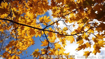 关于人来人往的名言