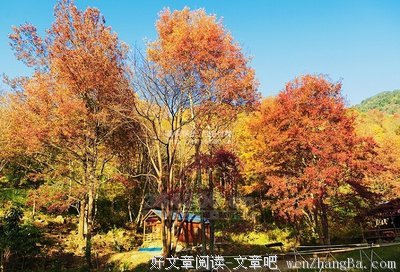 读懂这二十句话，你就读懂了整个人生