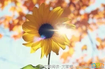 千疮百孔的句子
