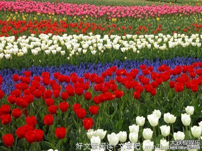 骄傲的句子_关于骄傲的句子