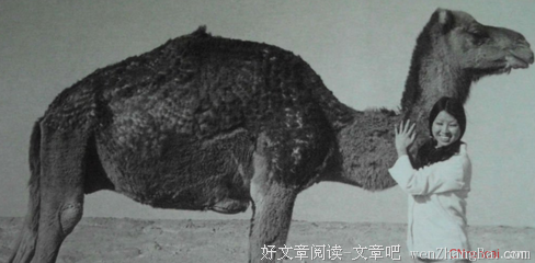 最新的《说给自己听》经典语句大全
