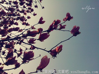 美好的风景就是在自己的身边