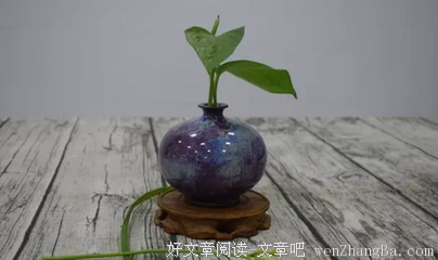 雨落成殇
