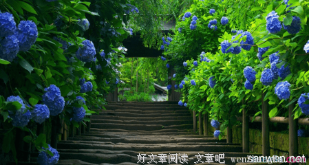 出奇的句子