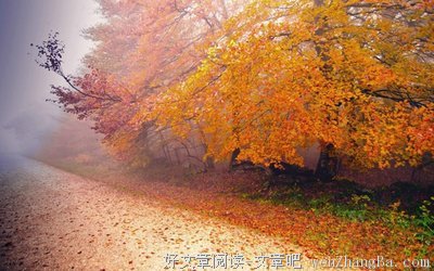 最新的《我可能不会爱你》语录摘抄大全