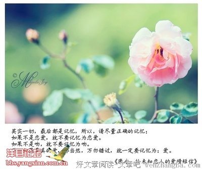 这些话说给懂得人听