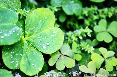 下雨了。