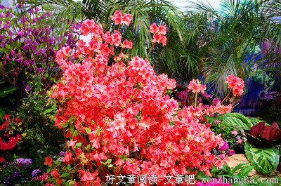 他低估了我的涵养