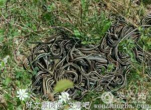 安心的名人名言