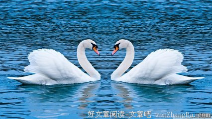 关于闲适的格言