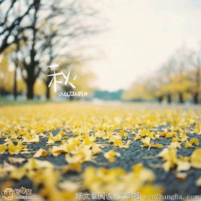 《奴儿七七》经典语录大全