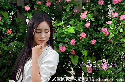 最新的《梦落芳华》经典语录大全