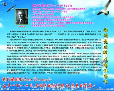 关于多情的格言