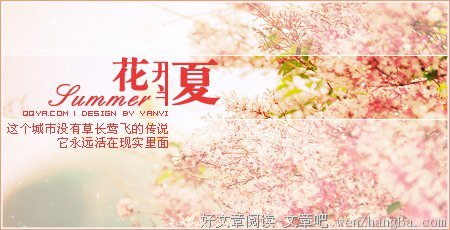 最新的《花开半夏》经典的句子