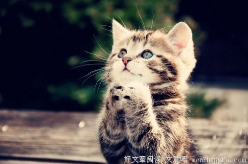 越能放下自己，你就越快乐