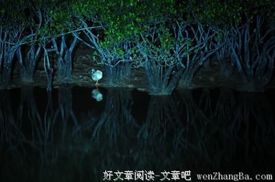 聆听夜声