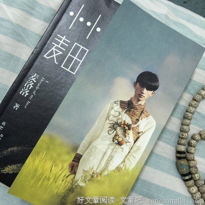 最全的《小小麦田》小说书摘