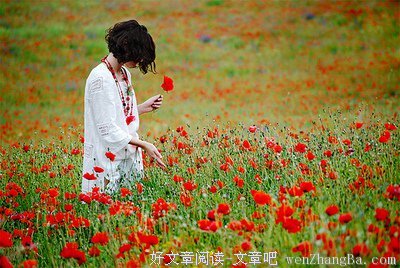最全的《陌上花开》语录摘抄