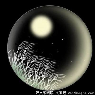 闲看漫天星光