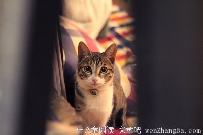 关于我行我素的格言