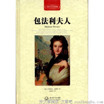 最全的《包法利夫人》经典的句子大全