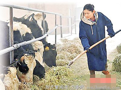 父亲在经营