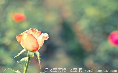 关于安康的唯美句子