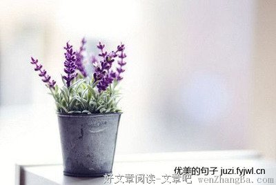 最全的《人性禁岛》语录摘抄