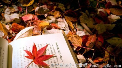 关于支离破碎的唯美句子