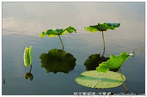 没有智商，善良有个P用