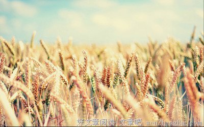关于小黄的唯美句子