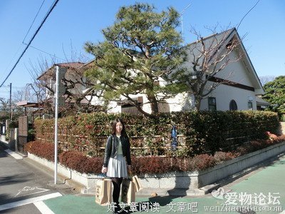 梦一样的时光