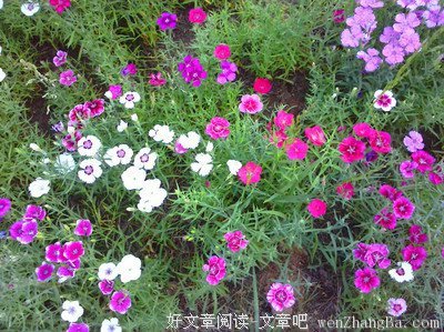 生活絮语（48）