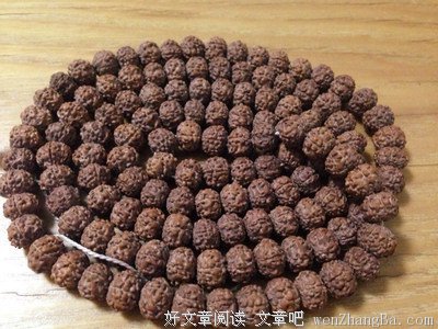 最新的庄圆法师精彩语录